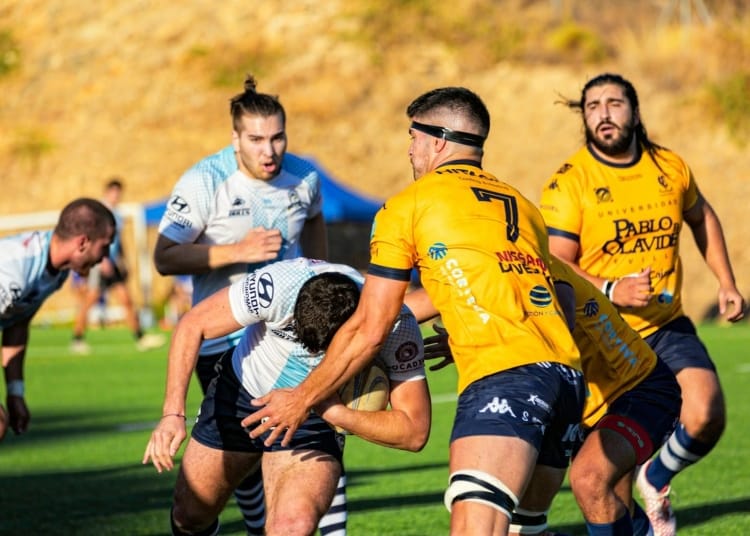 El rugby y su impacto cultural