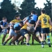 La Plata, cuando lo tenía para ganar, lo dejó escapar