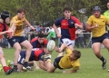 M17: empate en el clásico entre La Plata y San Luis